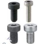 CBSST6-10  LOW HEAD CAP SCREW