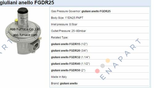 009.0222.101 Regolatore di pressione gas