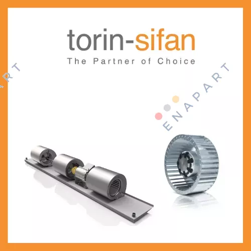 Torin-Sifan