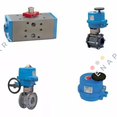 RI2202 actuator