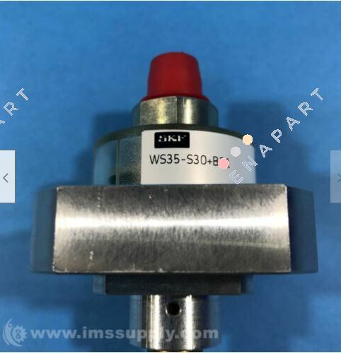 WS35-2+B31 Interruttore di livello