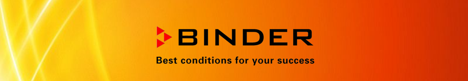 Binder